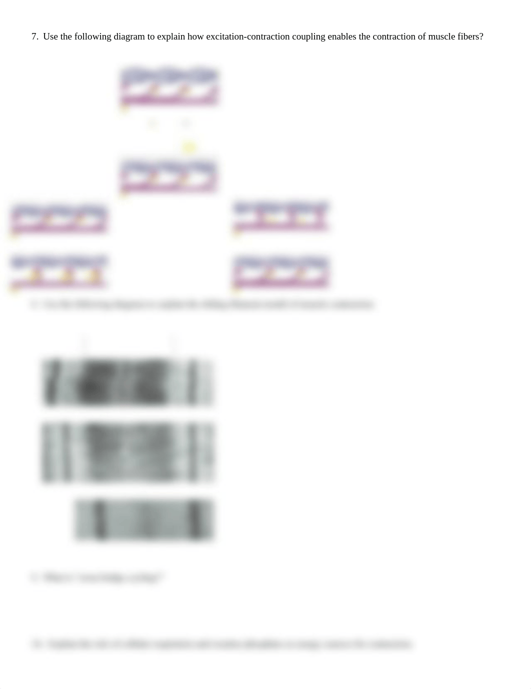 ALM Ch 9 part 1 Muscle Tissue.docx_dqmhoidmben_page3