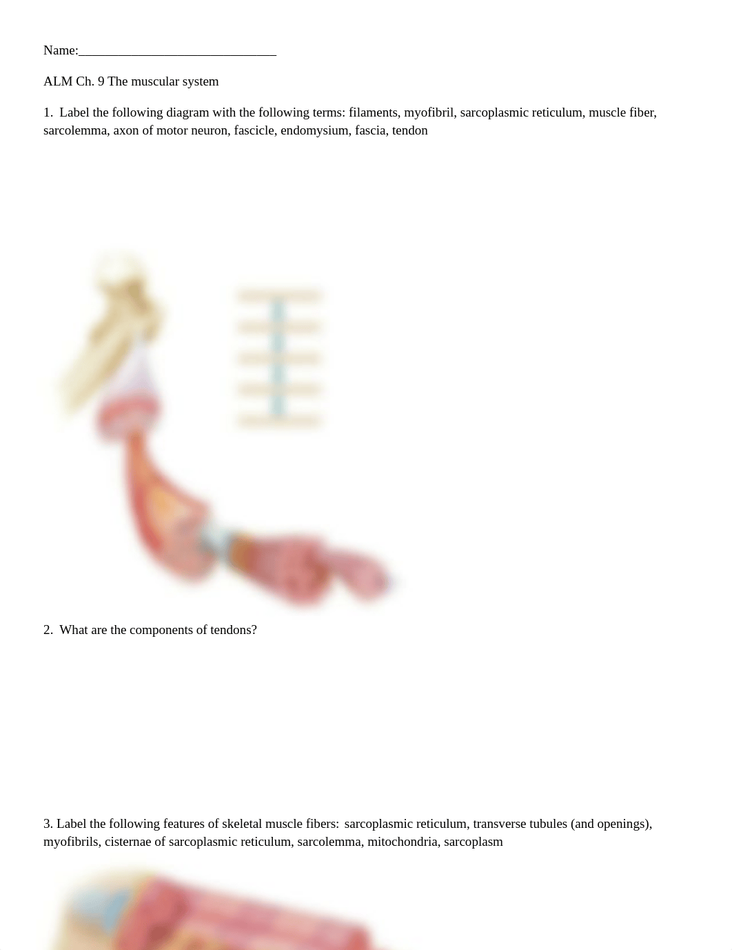 ALM Ch 9 part 1 Muscle Tissue.docx_dqmhoidmben_page1