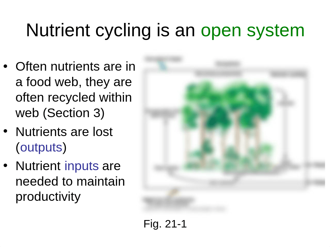 Chapter 21 Decoposition and Nutrient Cycling(1).ppt_dqmi7w4u7ro_page3