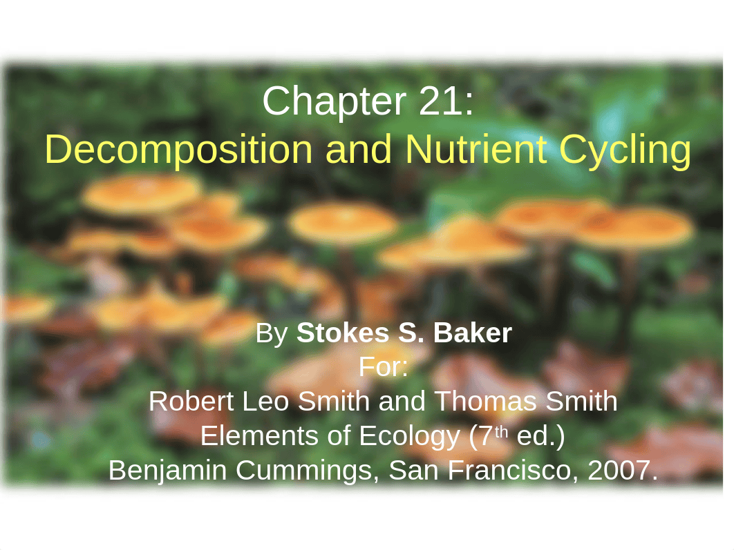 Chapter 21 Decoposition and Nutrient Cycling(1).ppt_dqmi7w4u7ro_page1