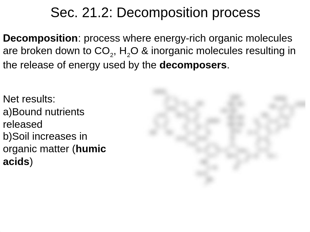 Chapter 21 Decoposition and Nutrient Cycling(1).ppt_dqmi7w4u7ro_page4