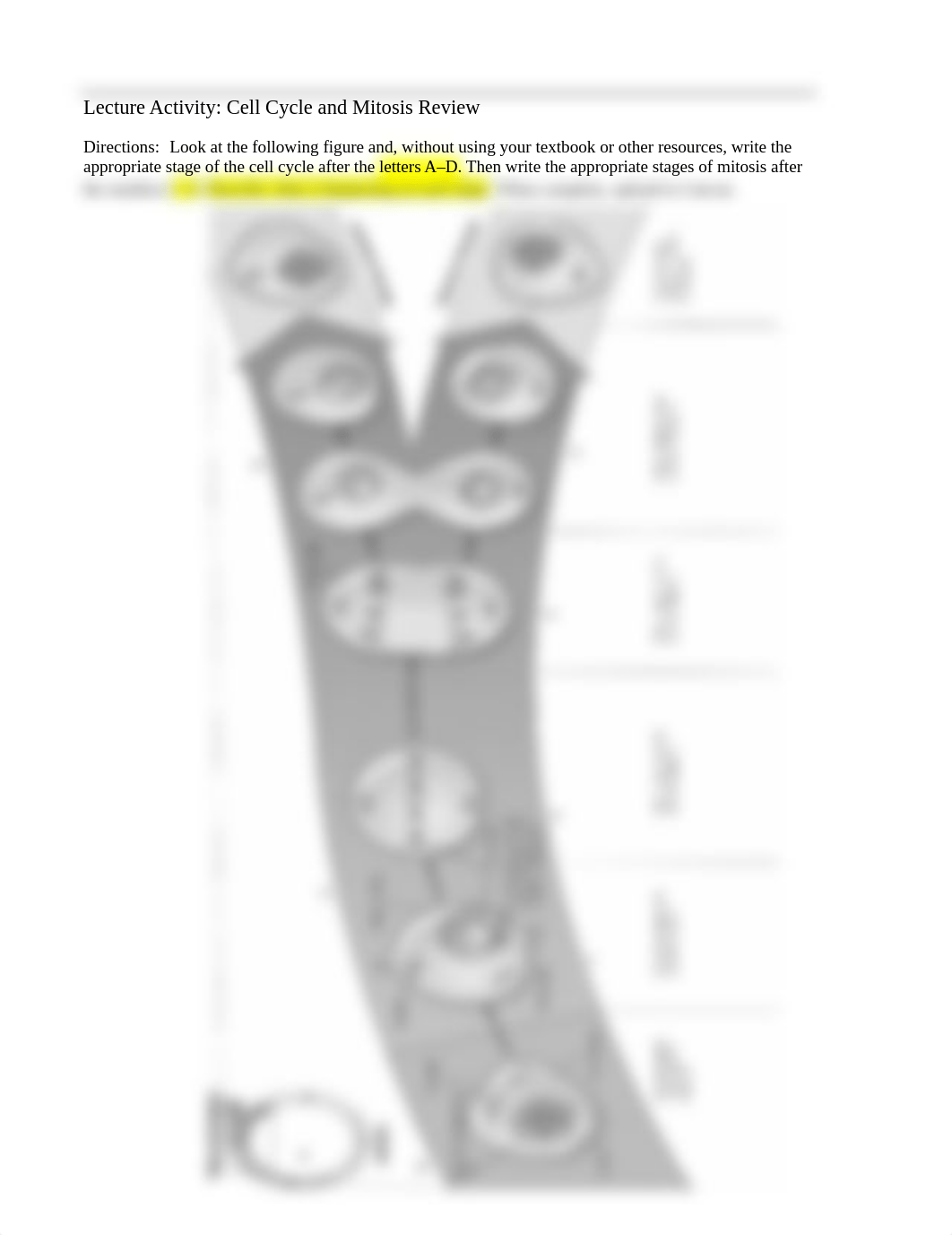 Worksheet_Mitosis.pdf_dqmkng2tb03_page1