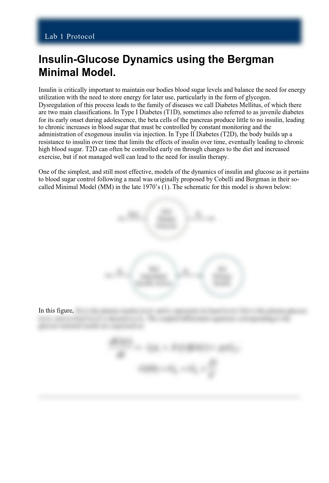 BME_44_Insulin_Lab_Protocol.pdf_dqmmee6hzzq_page1