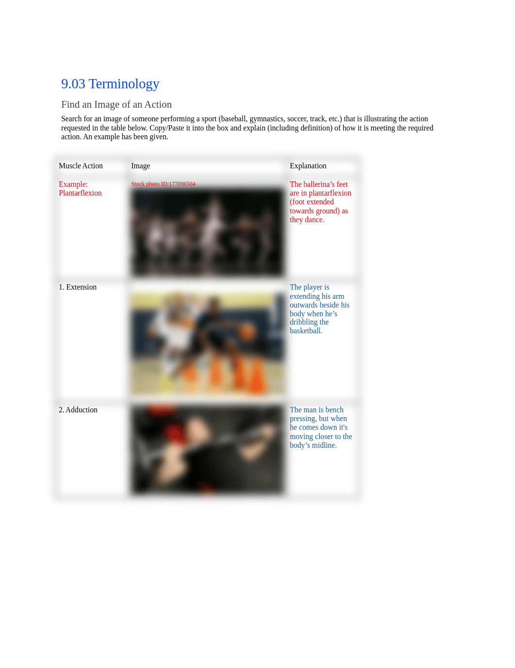 Human A&P - Lesson 9.03_ Terminology2.docx_dqmmz9r1515_page1