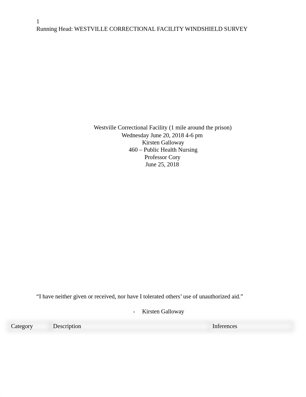 Windshield Survey Final_dqn2h9e73j4_page1