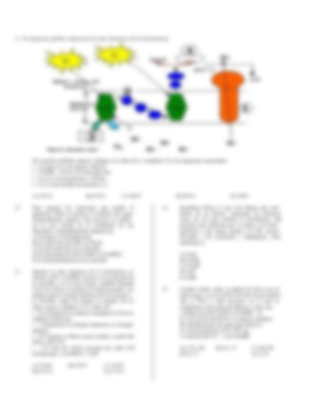 Biología 14.11.pdf_dqn8o3iyzyj_page2