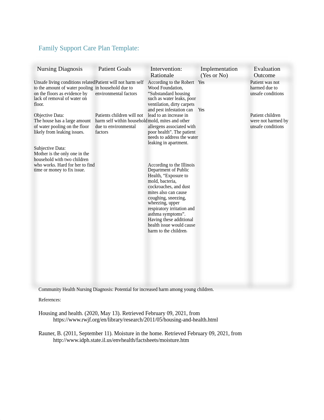 Family Support Care Plan Template.docx_dqn91n9zpl2_page1