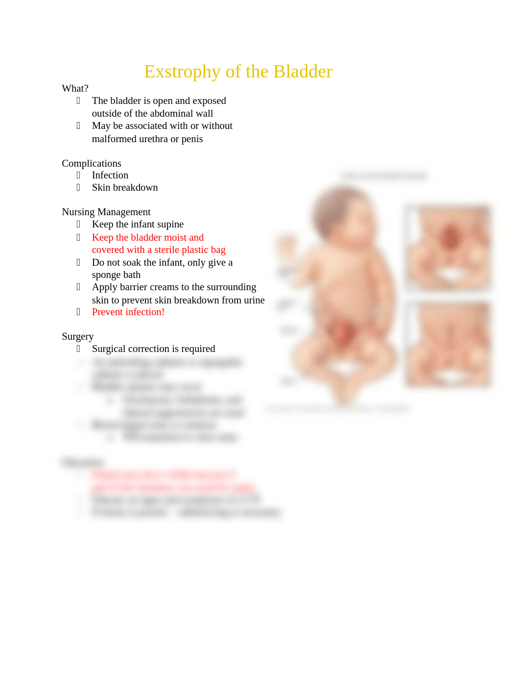 Exstrophy of the Bladder.docx_dqnflsj731z_page1