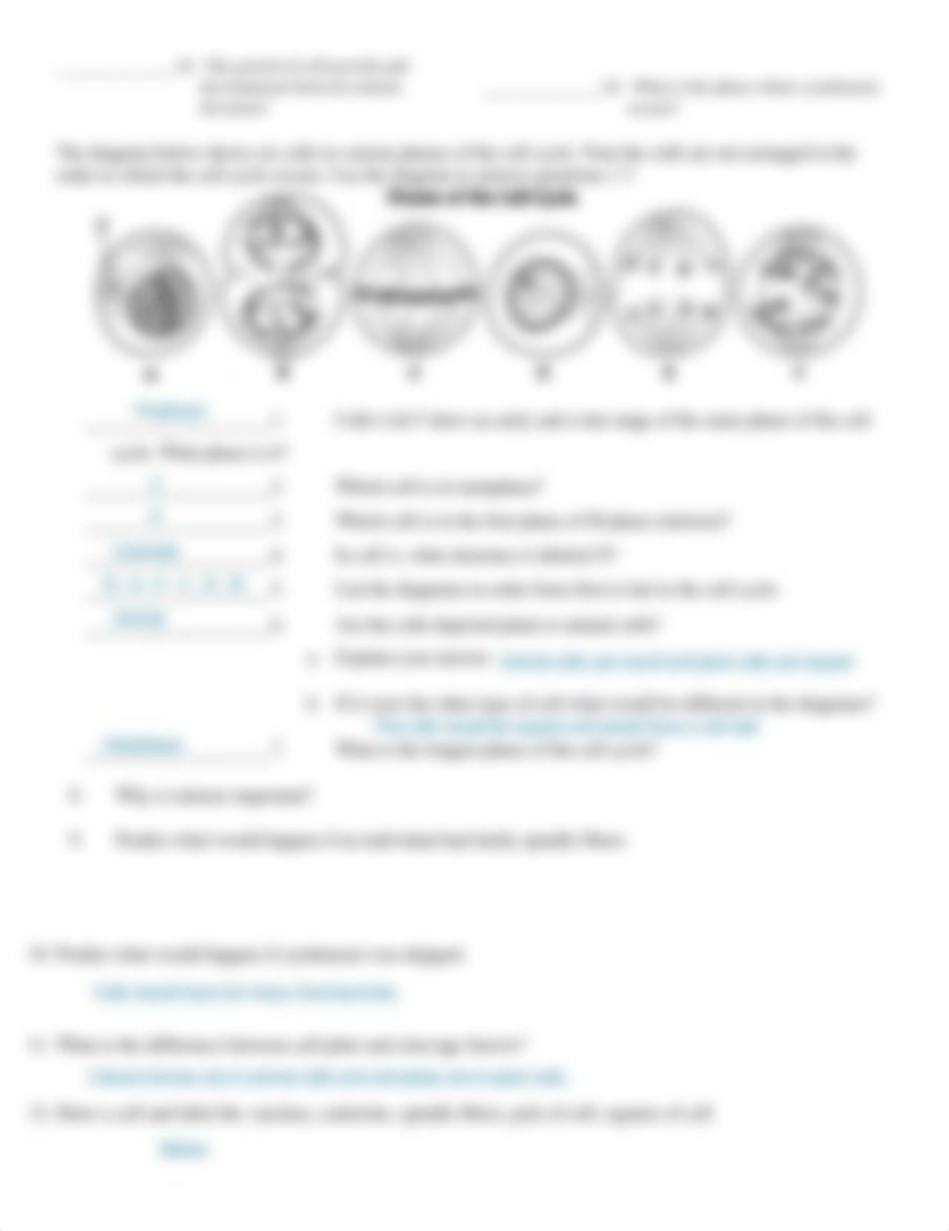 Cell Cycle Worksheet_K.Schwent_BIO 103.pdf_dqnjfxh5no2_page2