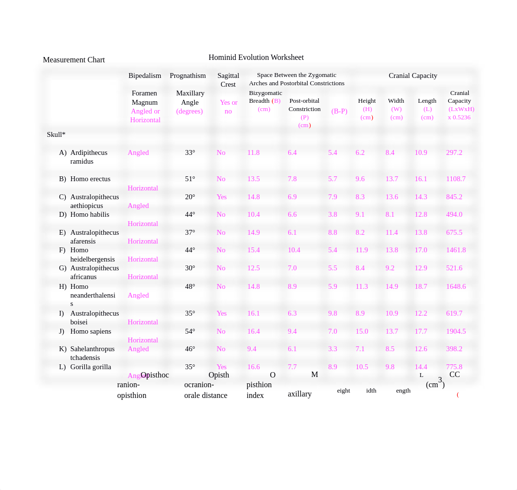Bio Lab #3 Hominin Evolution Lab Worksheet (2) (1).docx_dqnr0vhsuac_page1