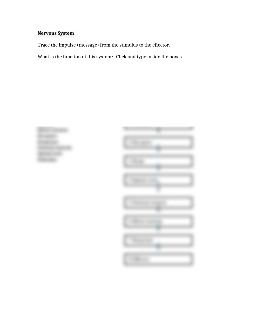 Nervous System Concept Map.docx_dqnvjnuvbte_page1