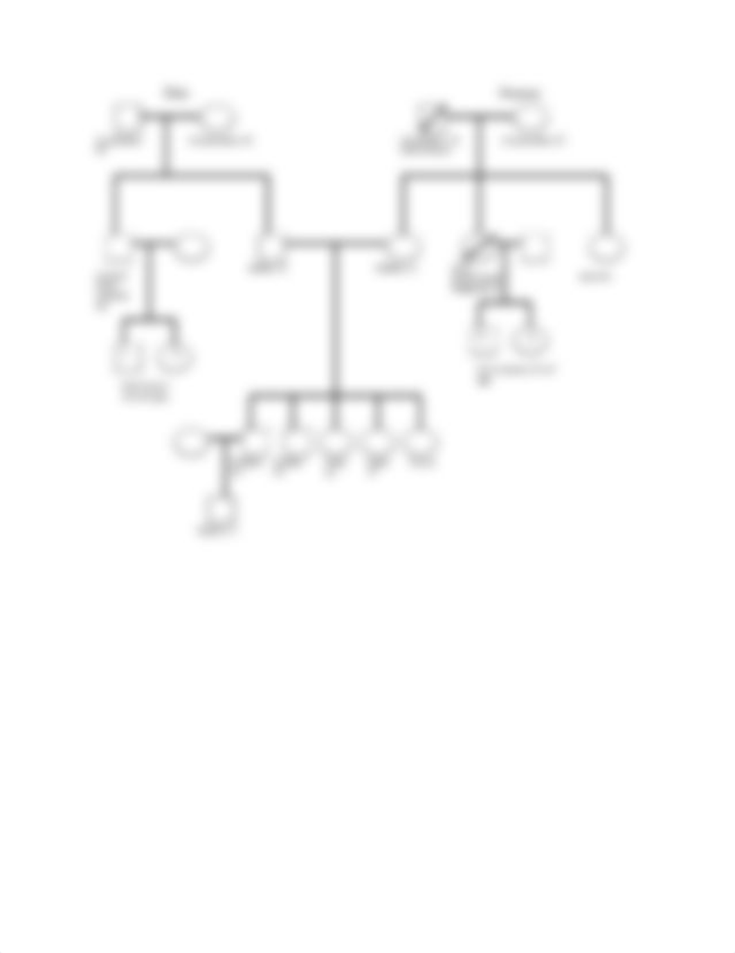 Genogram for Heritage Assessment - Examples.docx_dqnw65pwxle_page1