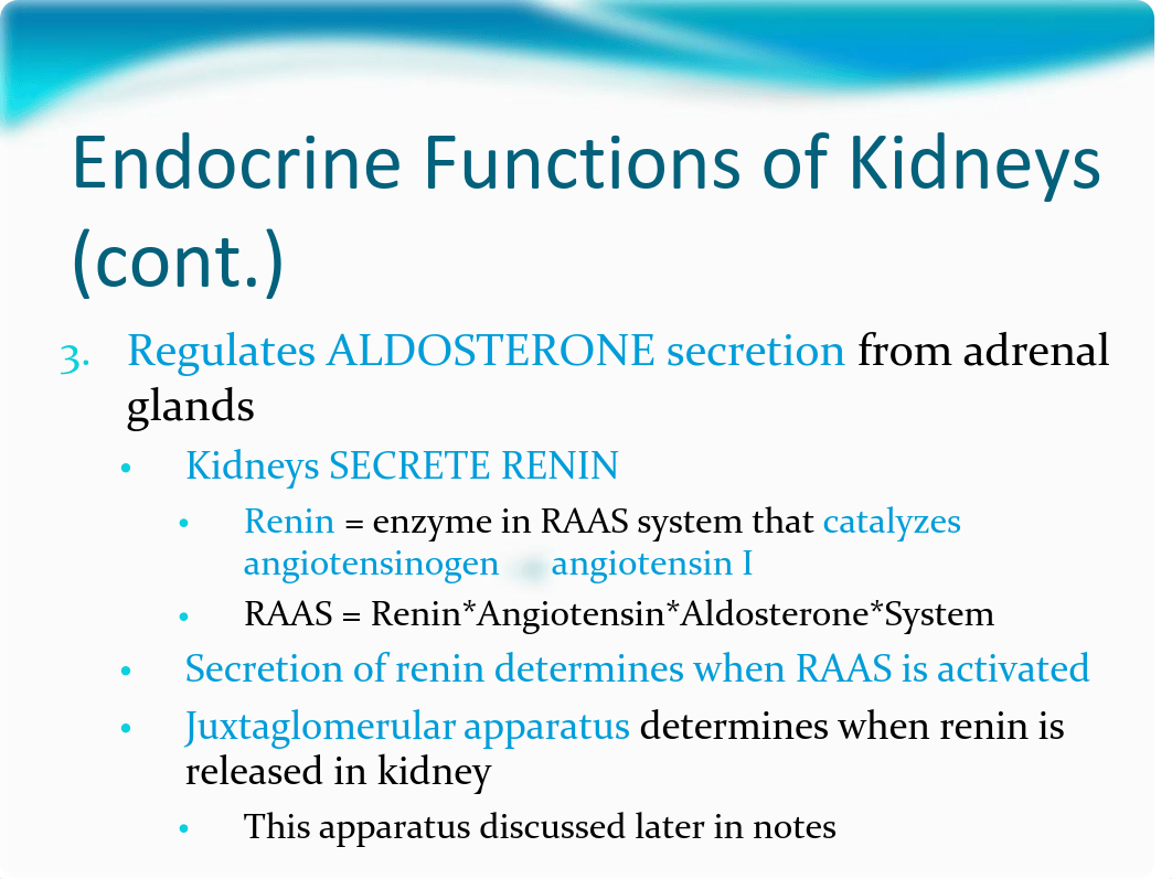 LM4 Renal Lectures S10 060210_dqnyer61emc_page4