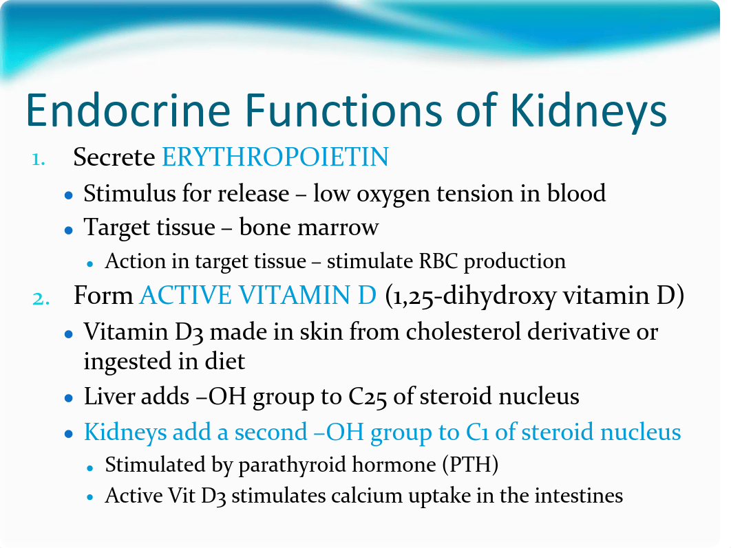 LM4 Renal Lectures S10 060210_dqnyer61emc_page3