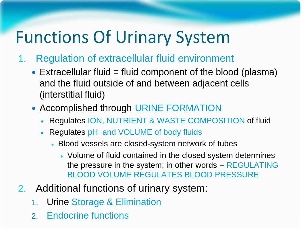 LM4 Renal Lectures S10 060210_dqnyer61emc_page2