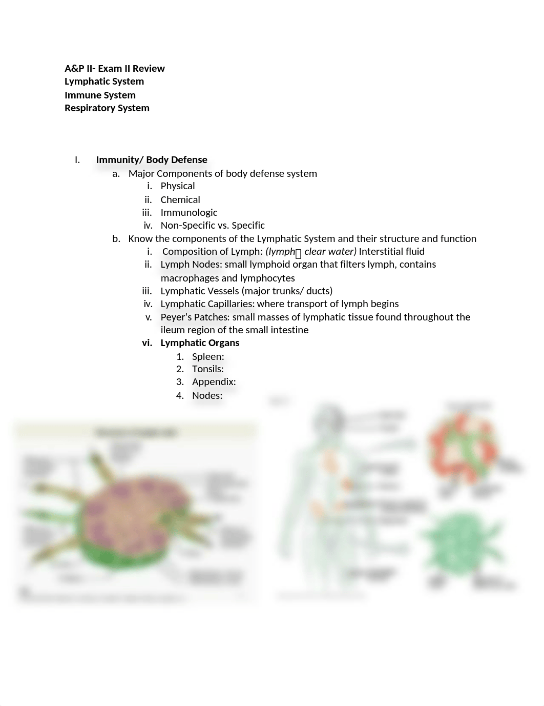 A&P II Test II Outline.docx_dqnzp223ekt_page1