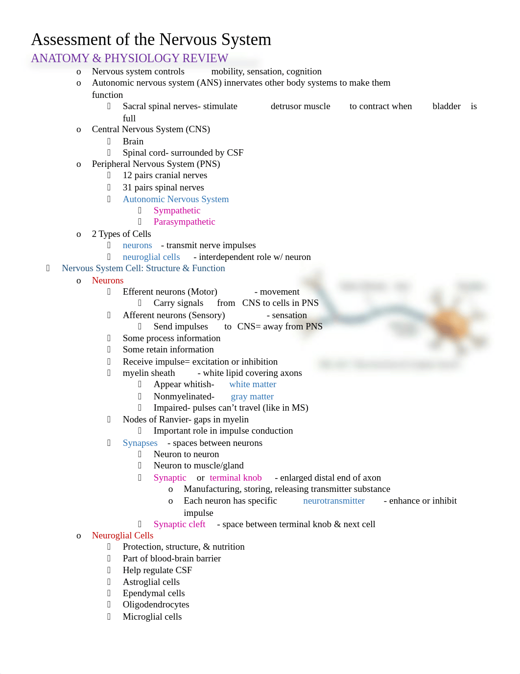 Assessment of the Nervous System_dqo472aqkey_page1