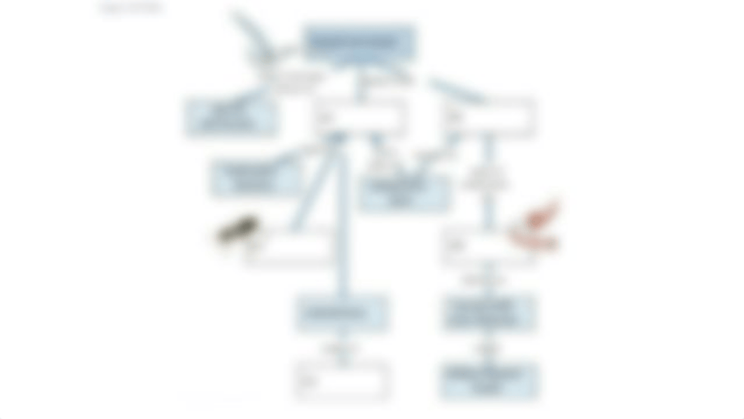 Concept Maps 25 & 30_dqo846ya1ul_page2