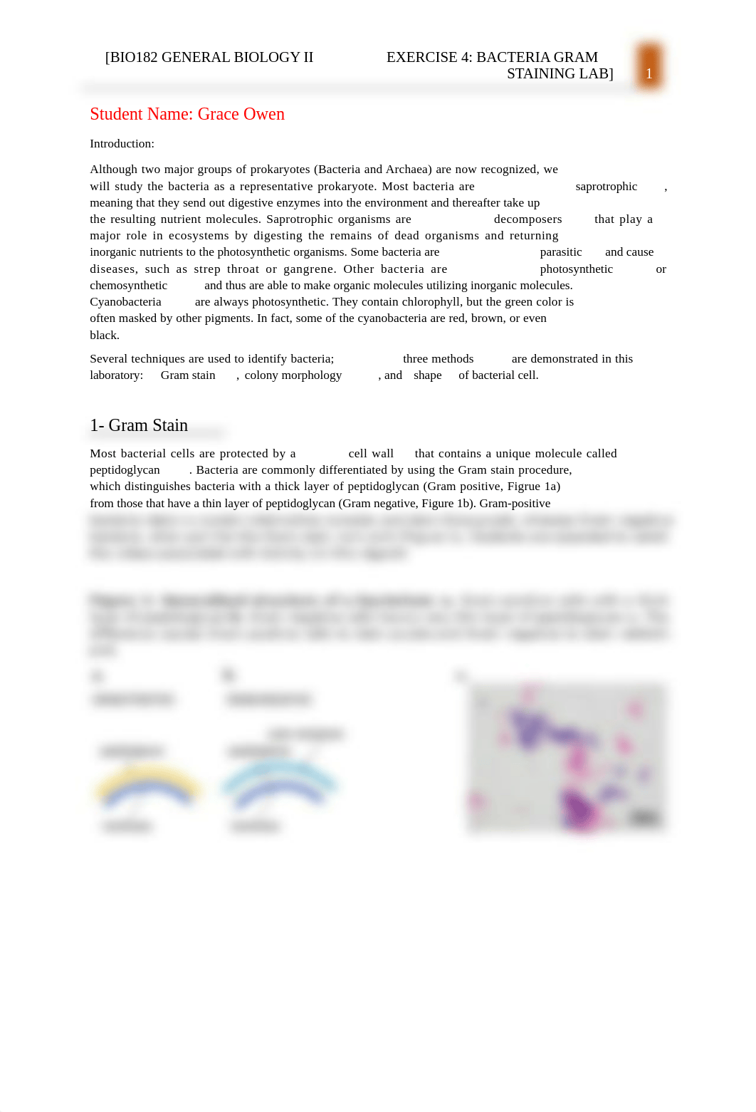 Exercise 4_Bacteria Gram Staining.docx_dqocht3nmht_page1