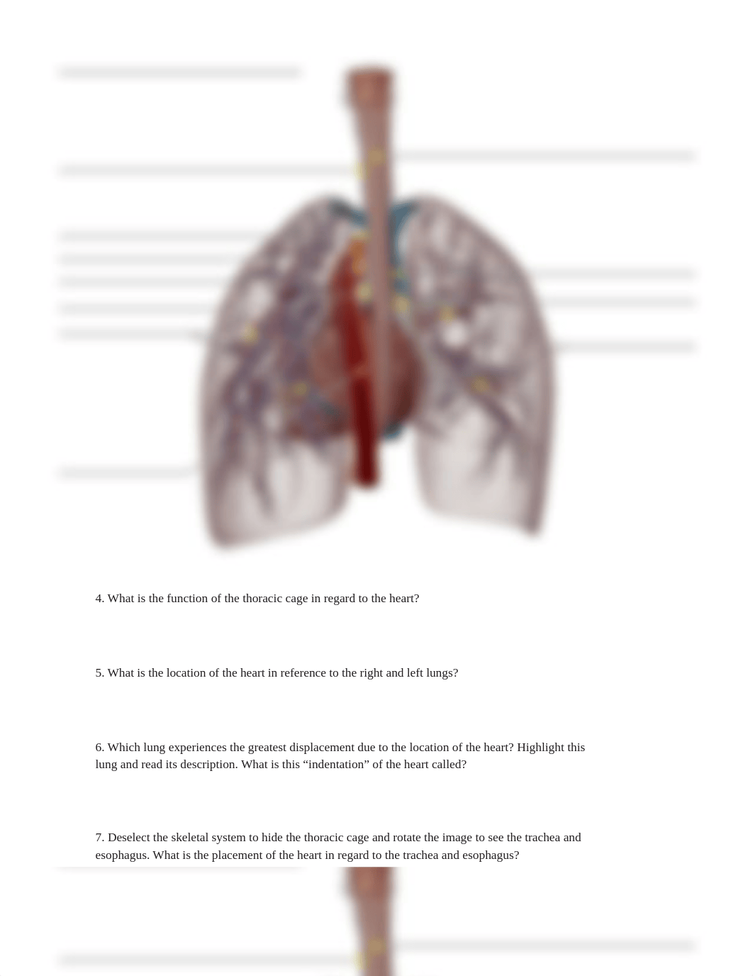 lab manual_human heart_atlas.pdf_dqoixfoa1qt_page4