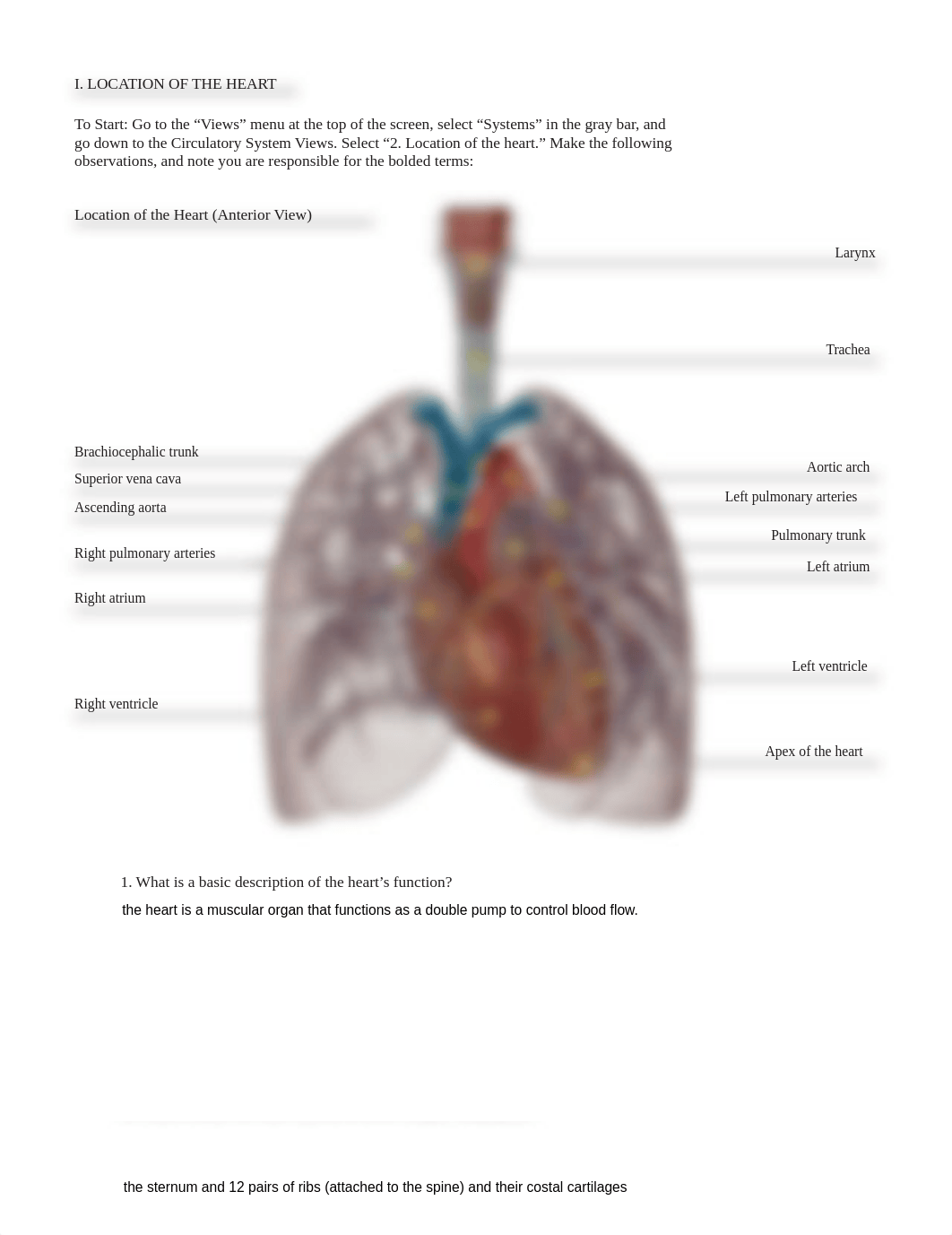 lab manual_human heart_atlas.pdf_dqoixfoa1qt_page3