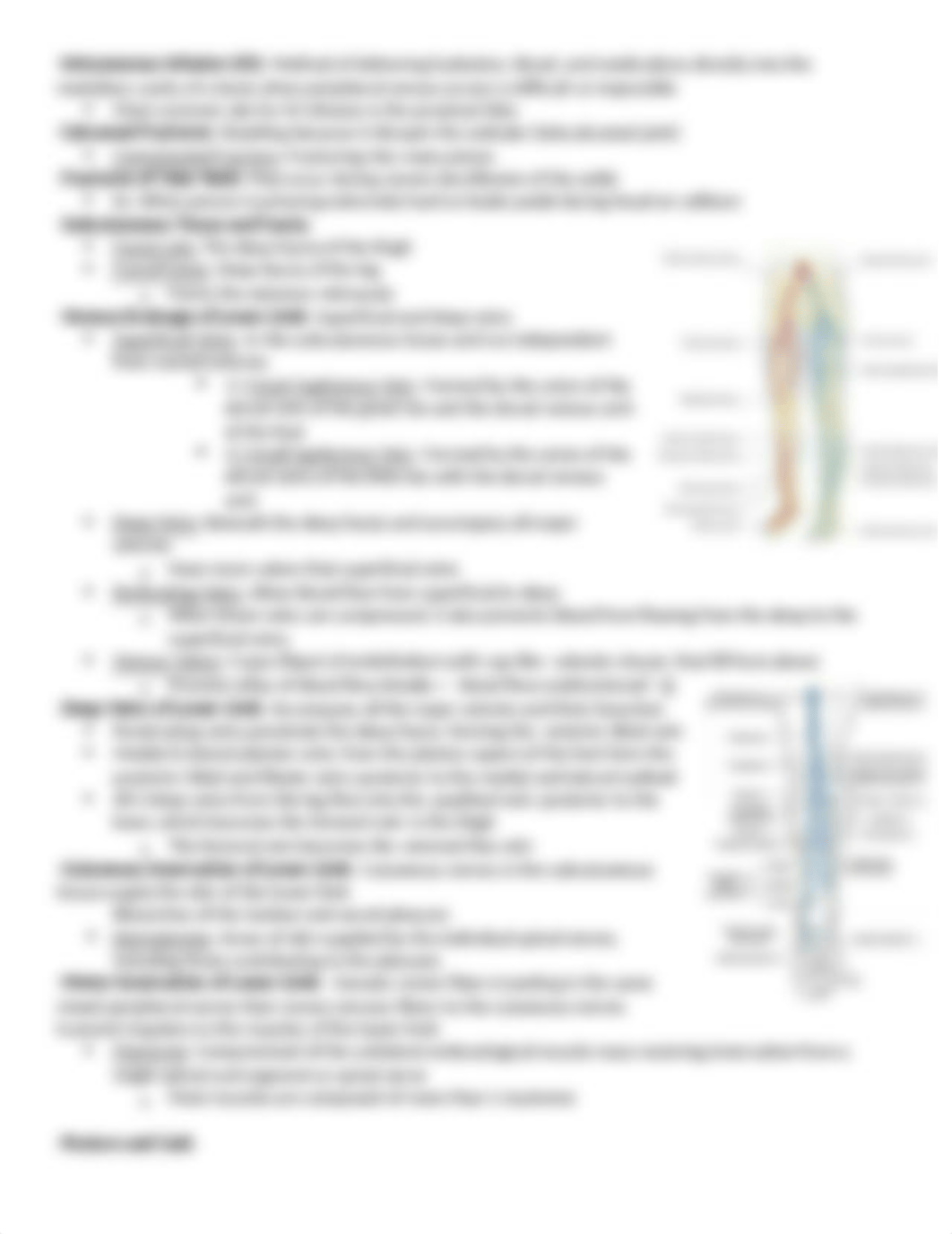 Chapter 7 - Lower Limb.docx_dqojublc9tt_page3