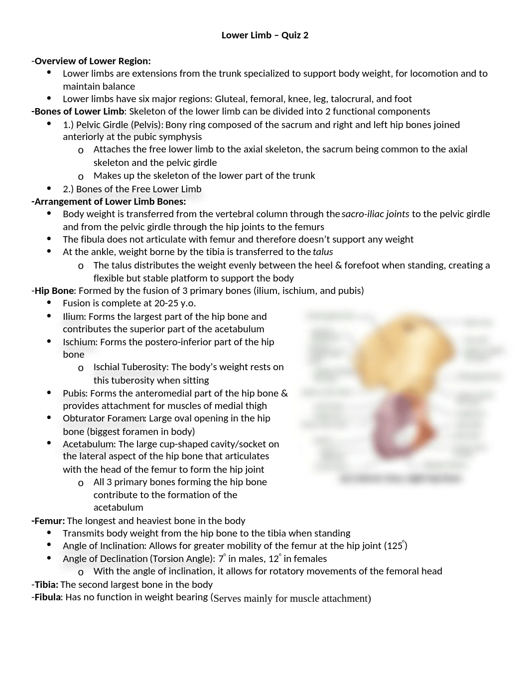 Chapter 7 - Lower Limb.docx_dqojublc9tt_page1