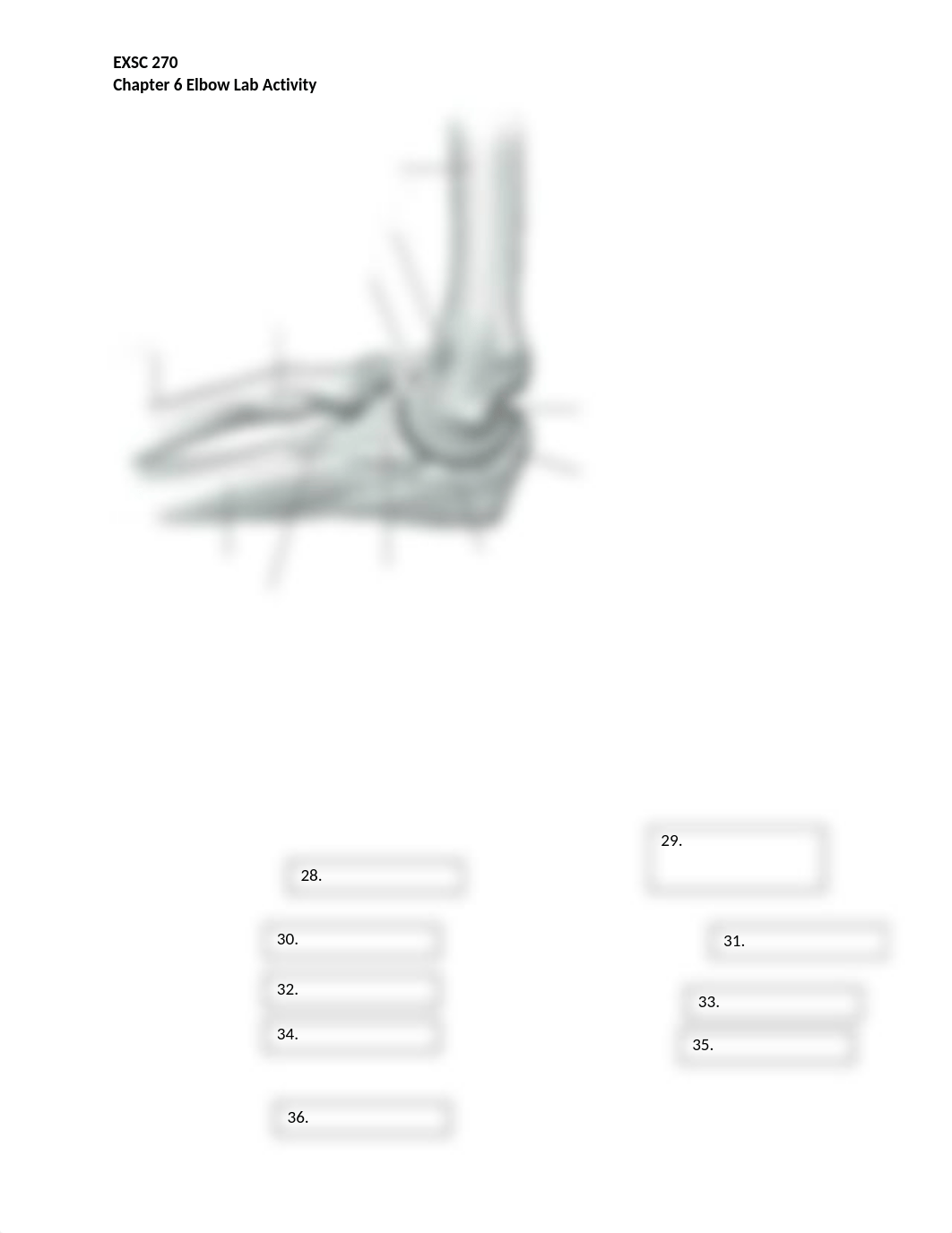 Chapter 6 Lab Activity.docx_dqoktwuyicy_page2