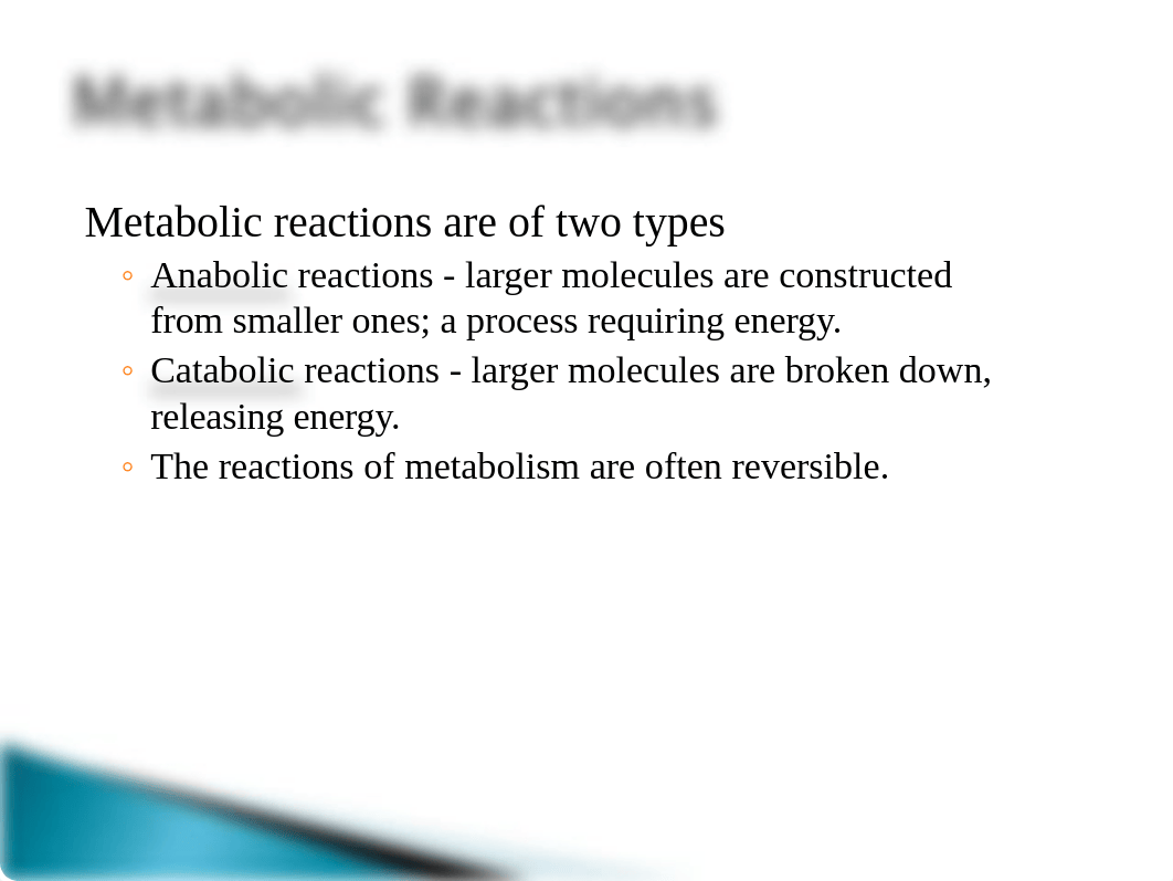 BIO 135 Ch 4 Cellular Metabolism_dqon0jgjzd5_page3