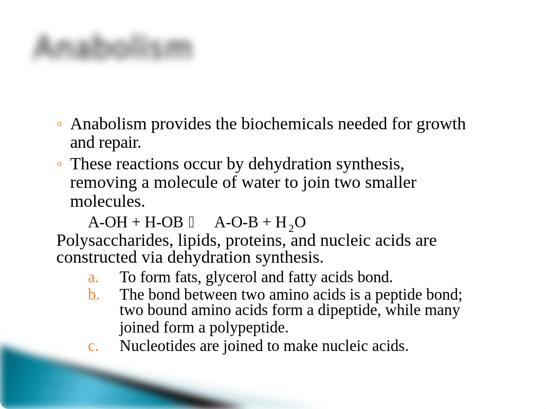 BIO 135 Ch 4 Cellular Metabolism_dqon0jgjzd5_page4