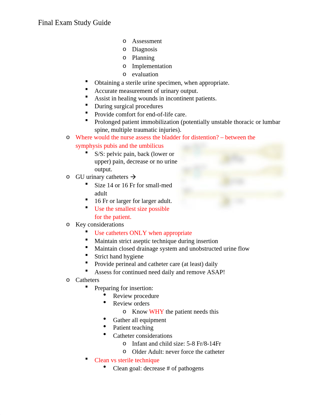 Final Exam Study Guide.docx_dqoqbstez8b_page2