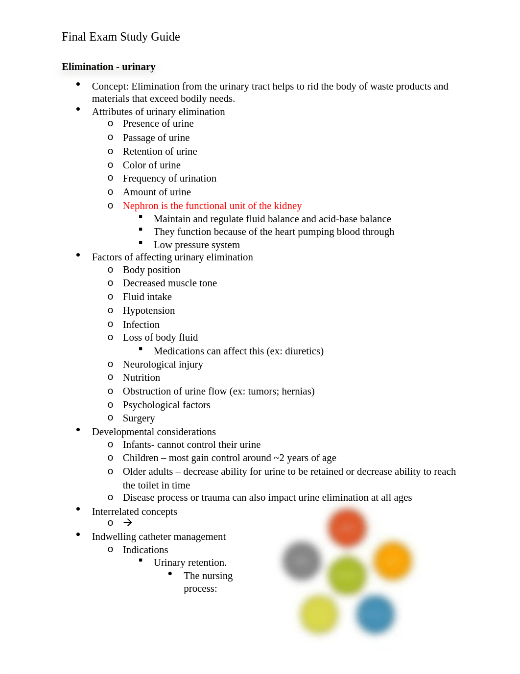 Final Exam Study Guide.docx_dqoqbstez8b_page1