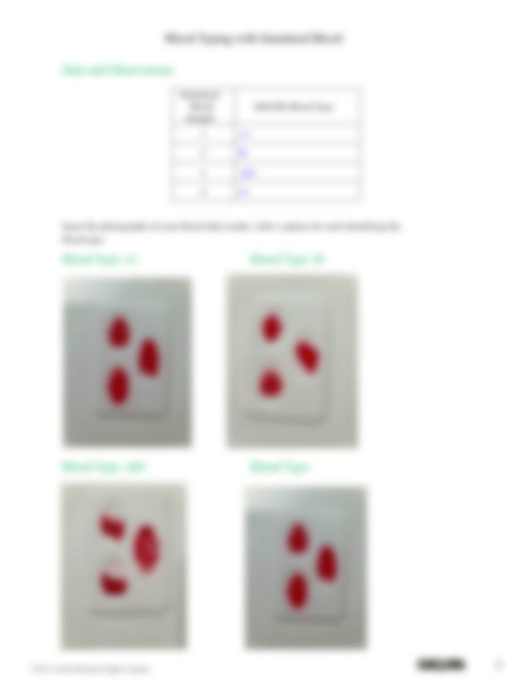 Blood Typing with Simulated Blood_Questions.pdf-Complete.pdf_dqoqkgag2bc_page2