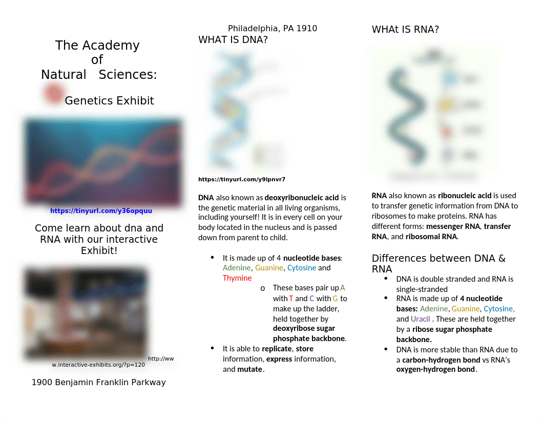 GENETICS BROCHURE.docx_dqorsvzzxgu_page1