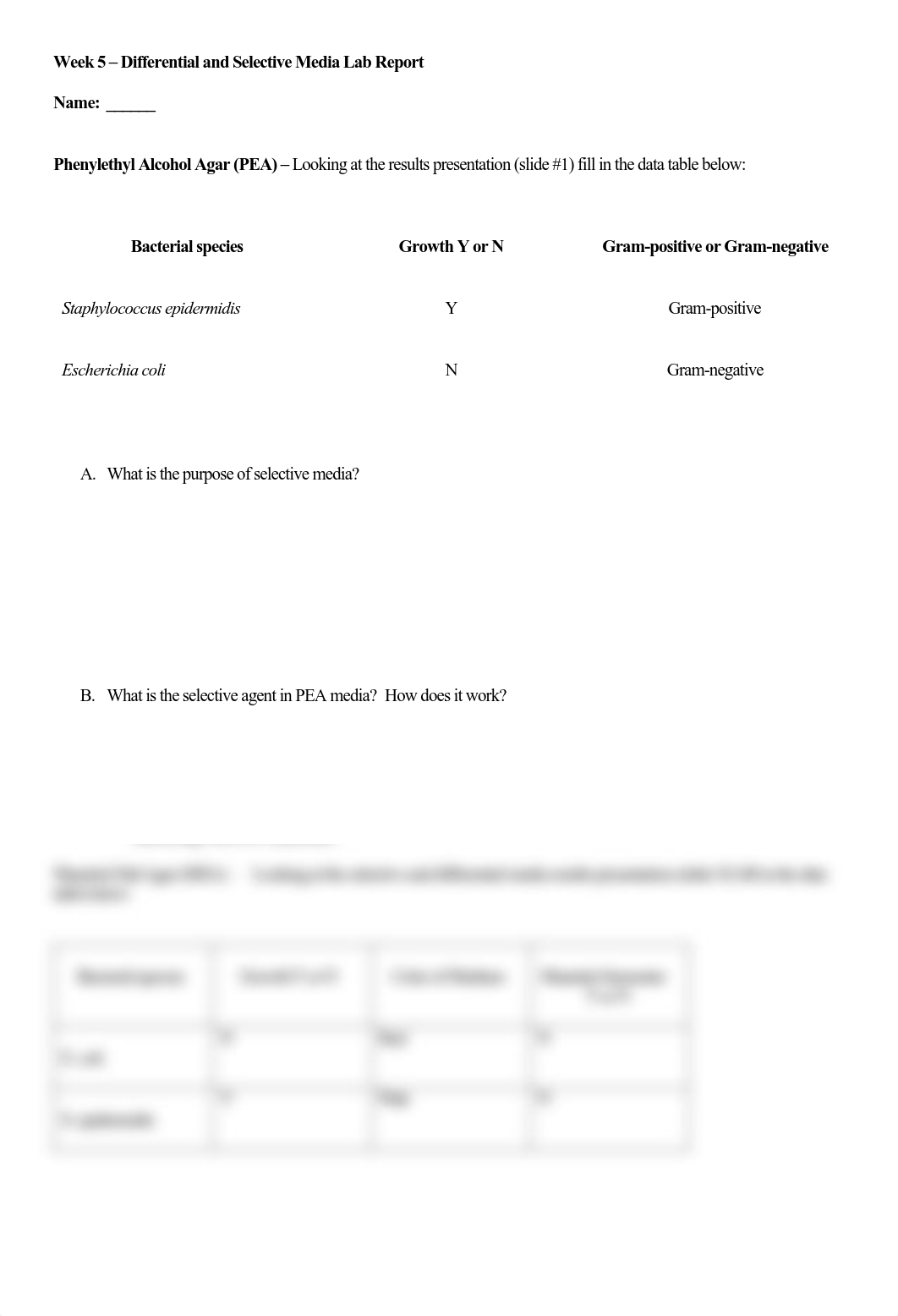 MICRO - Differential and Selective Media Assignment.pdf_dqorzbdun8s_page1