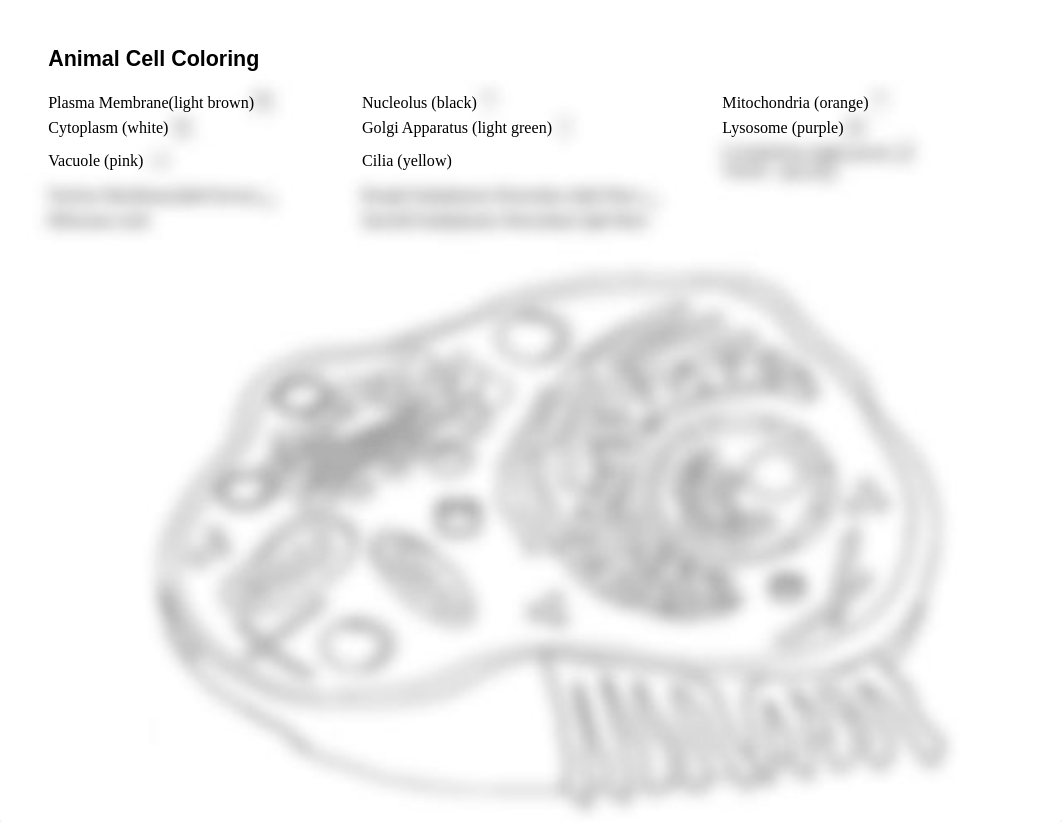 Animal_Cell_Coloring.pdf_dqoscmoljhf_page1