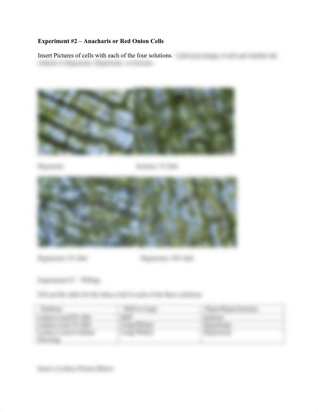 Cell Transport Worksheet.pdf_dqoyh9sssuh_page2