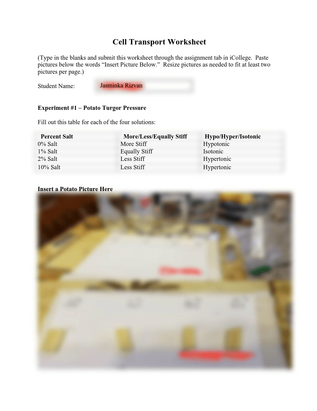 Cell Transport Worksheet.pdf_dqoyh9sssuh_page1