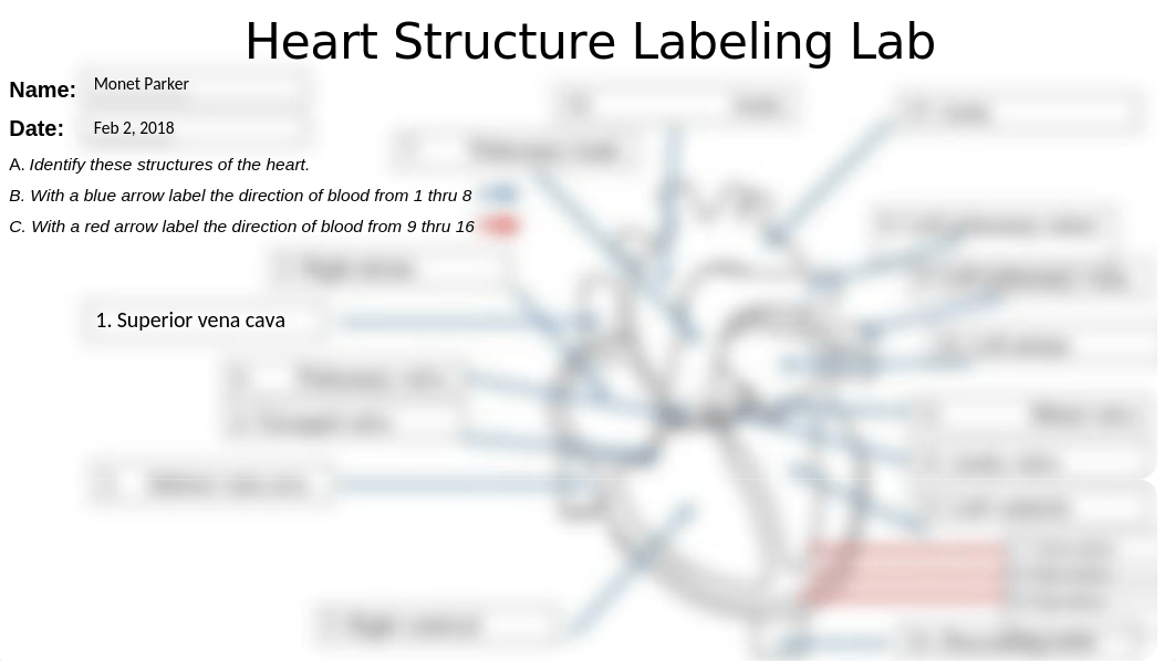 AH 101 Lab Heart Label MPARKER.pptx_dqp008mwpfj_page1