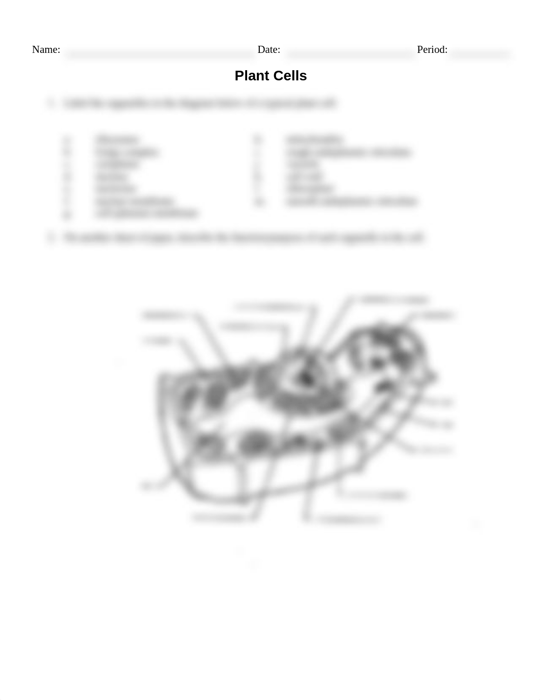 WS - Cell Diagrams.doc_dqp8mef0raw_page2