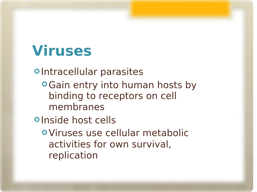 Chapter+40+Antiviral+Drugs.pptx_dqpbtrsh17a_page5