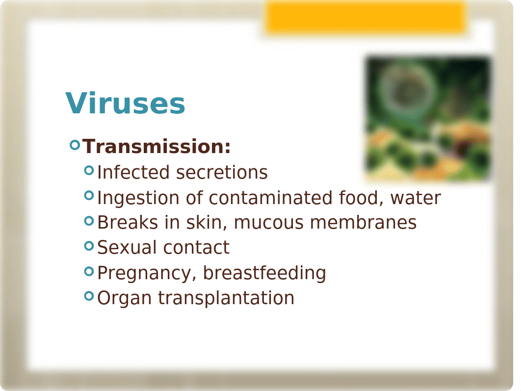 Chapter+40+Antiviral+Drugs.pptx_dqpbtrsh17a_page2