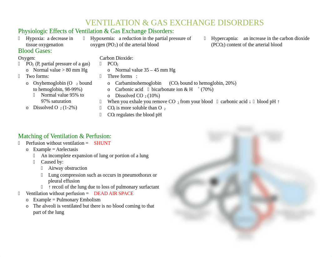 ventilation and gas exchange.docx_dqpe8tbcncb_page1