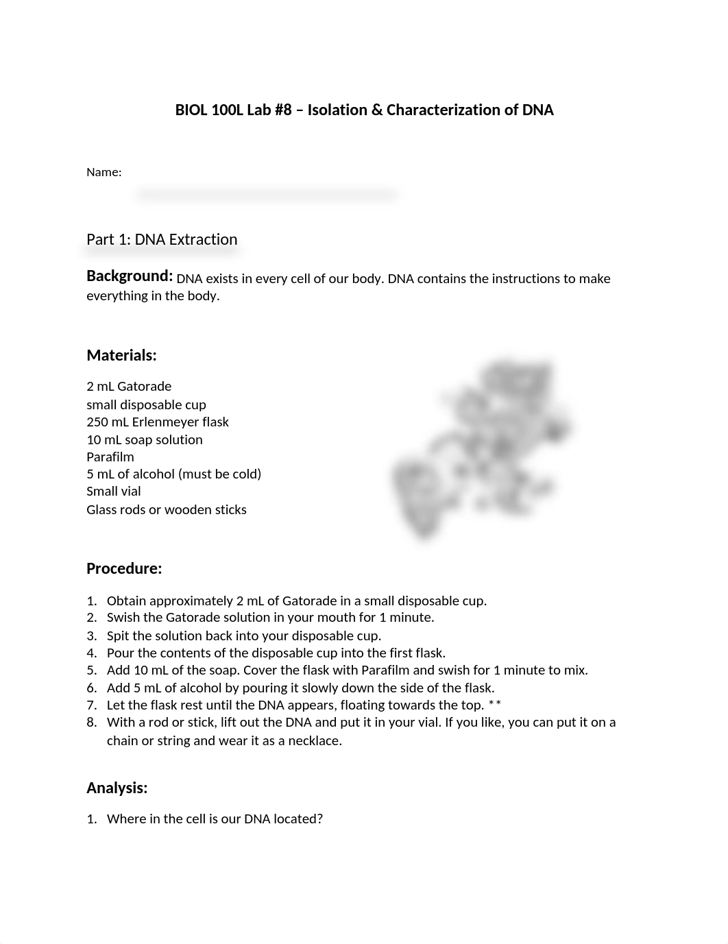 Lab 8 - DNA Isolation & Characterization(1).docx_dqpeuji3vlx_page1