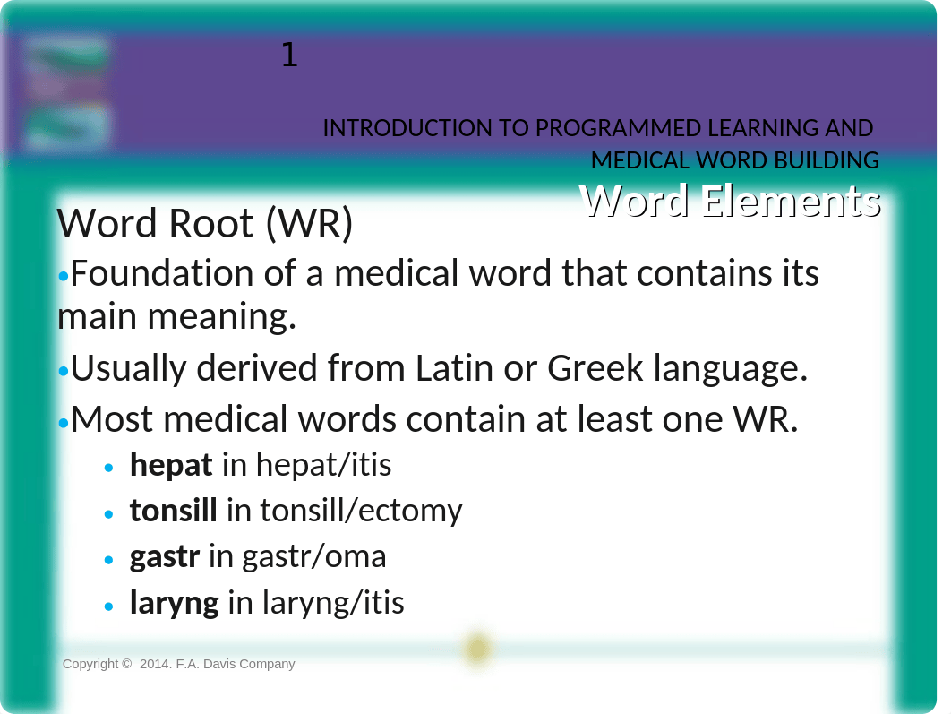 Ch 1 Lecture_dqpi3n8ckd1_page5