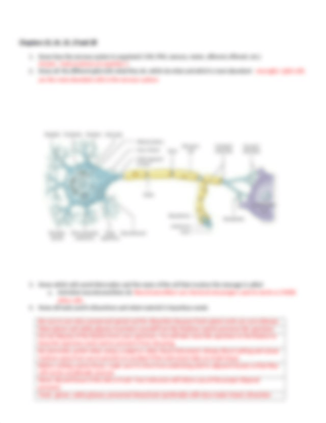 Final Exam Anatomy and physiology 2016 LAB.docx_dqpjmj4zve6_page5