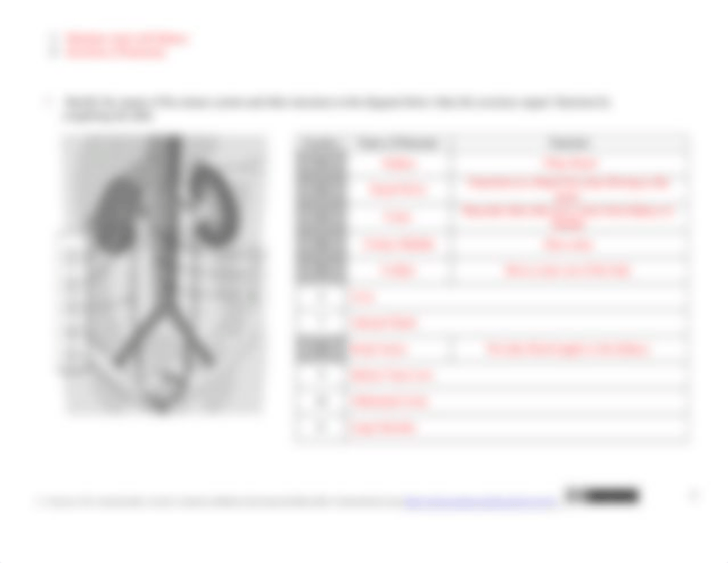 Week 11 Concept Check - Integumentary and Urinary System.docx_dqpttinwjyu_page3