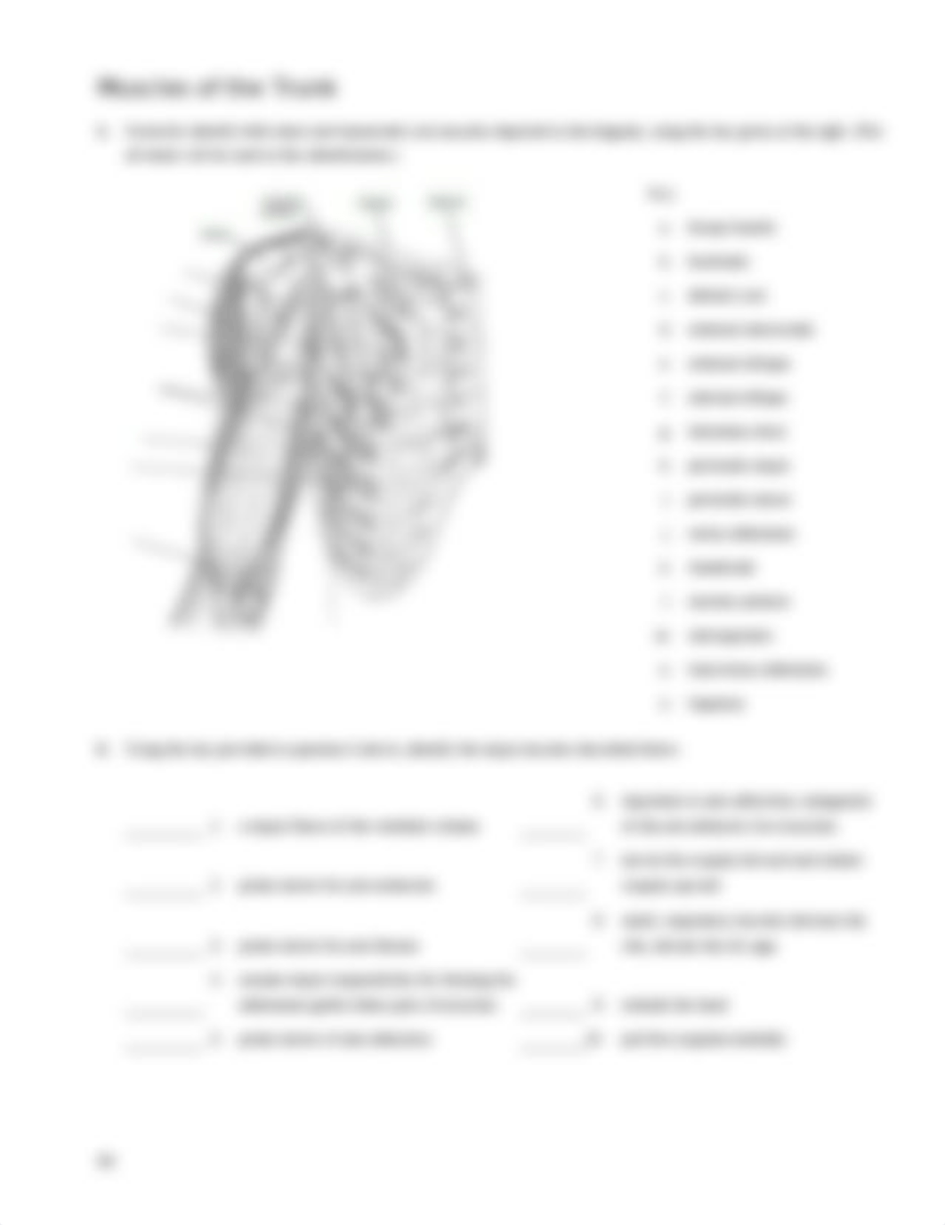 ex_13_Gross Anatomy of the.docx_dqpzpykspbm_page3