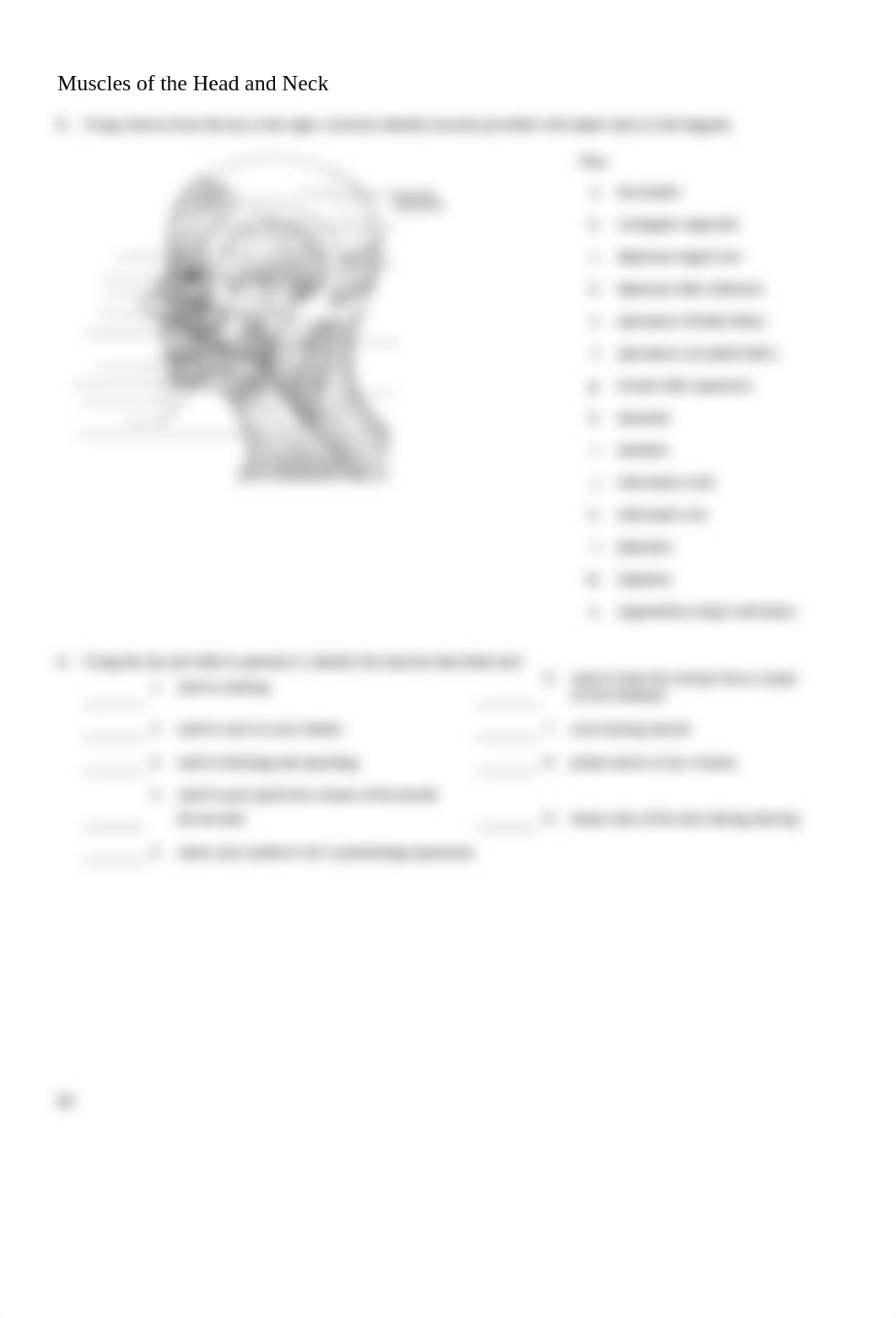 ex_13_Gross Anatomy of the.docx_dqpzpykspbm_page2