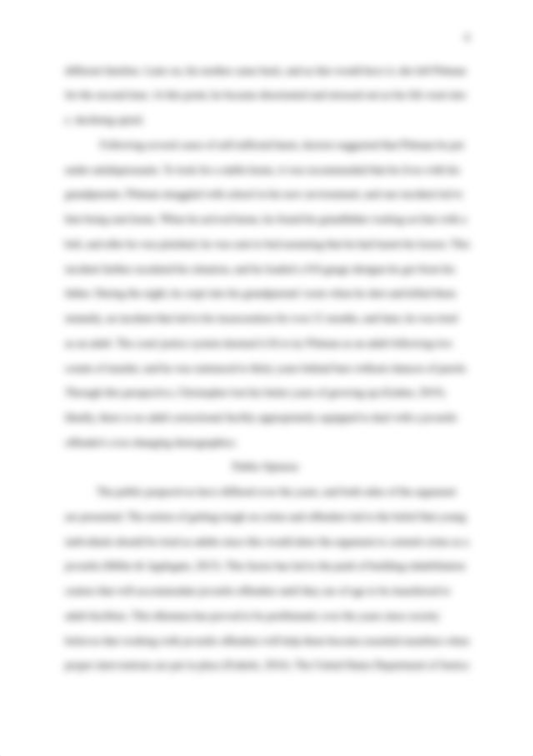 Juveniles Tried as Adults-Final-1.docx_dqqdj9ydbbf_page4